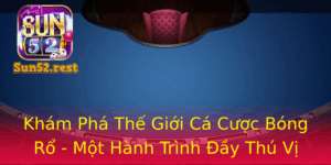 Kham Pha The Gioi Ca Cuoc Bong Ro Mot Hanh Trinh Ay Thu Vi Tai Sun52
